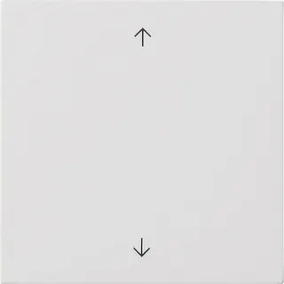 Gira Wippe 1f Pfeile Flächenschalter rw