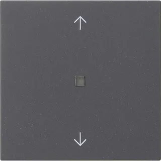 Gira Wippe 1f Pfeile Kontrollf. Sys 55 anthr.