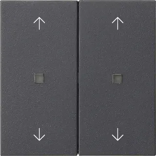 Gira Wippe 2f Pfeile Kontrollf. Sys 55 anthr.