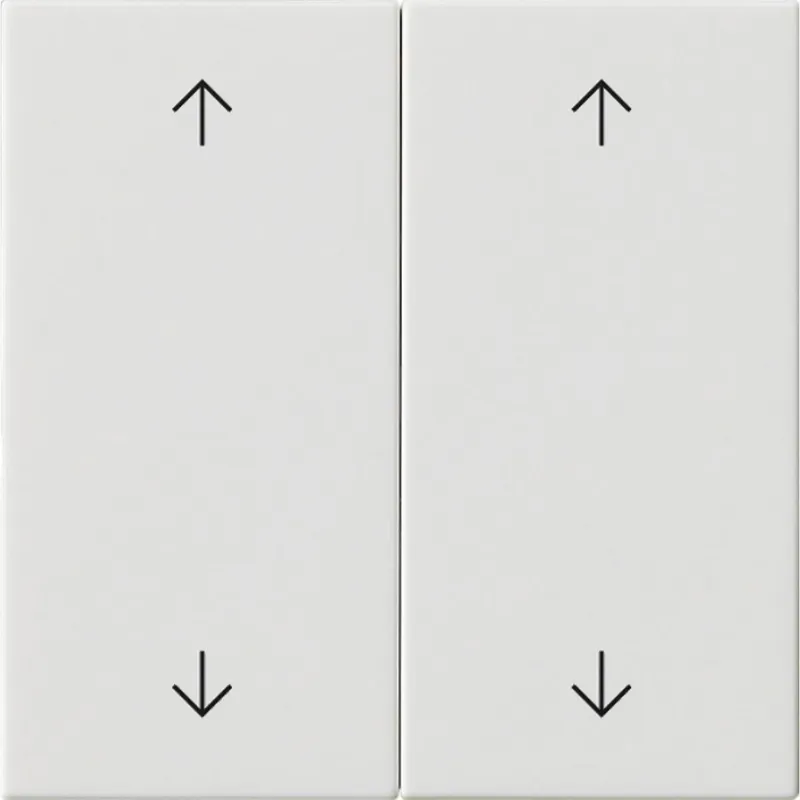 Gira Wippe 2f Pfeile Sys 55 rw
