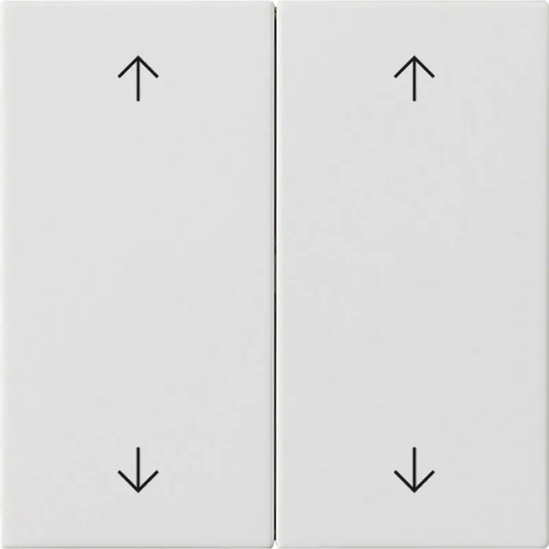 Gira Wippe 2f Pfeile Sys 55 rw m