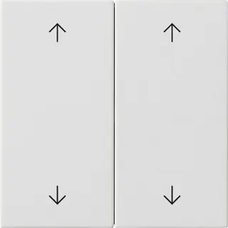 Gira Wippe 2f Pfeile Sys 55 rw m