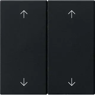Gira Wippe 2f Pfeile Sys 55 sw m
