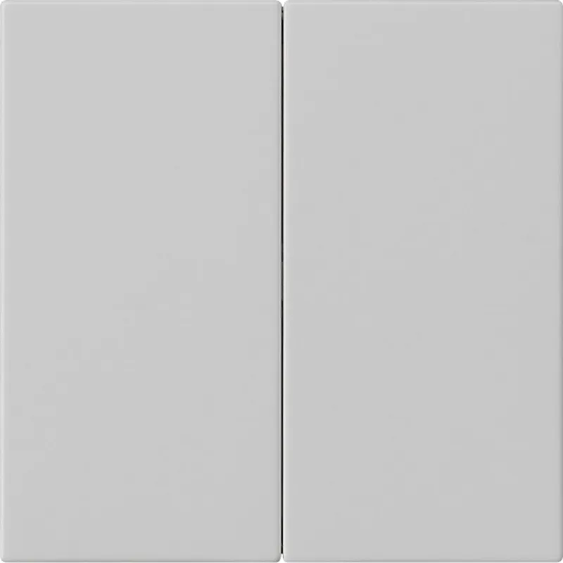 Gira Wippe 2f unbedruckt Sys 55 gr m