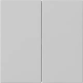 Gira Wippe 2f unbedruckt Sys 55 gr m