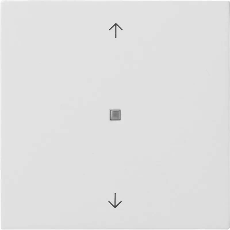 Gira Wippe 5172112 KNX Taster 1f Pfeile Fläche rw