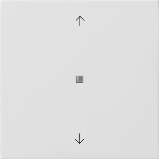 Gira Wippe 5172112 KNX Taster 1f Pfeile Fläche rw
