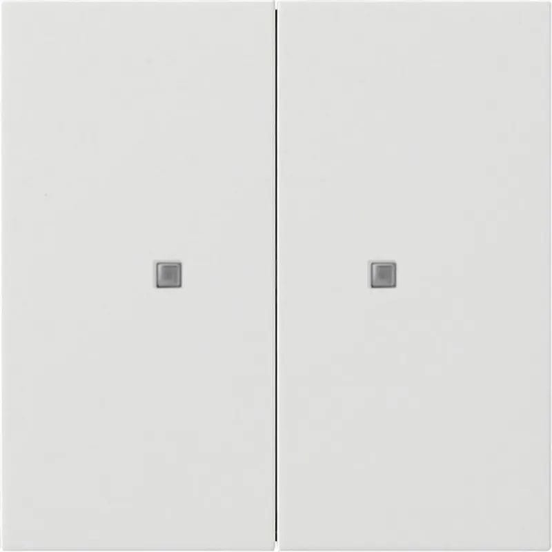 Gira Wippe 5173112 KNX Taster 2f Flächenschalter rw