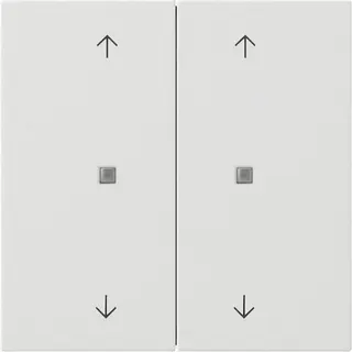 Gira Wippe 5174112 KNX Taster 2f Pfeile Fläche rw
