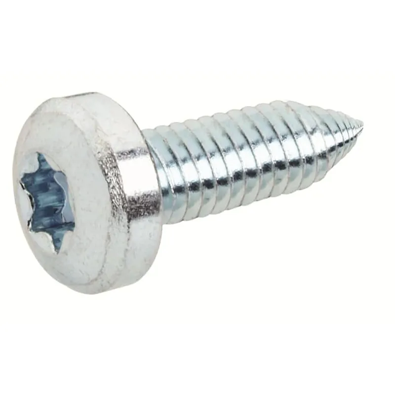 ABB Striebel & John RZ14P20 Linsenschraube M6x16 Torx T30