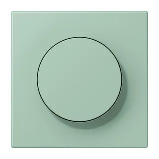 Jung Abdeckung mit Drehknopf, Serie LS, vert anglais clair LC1740217