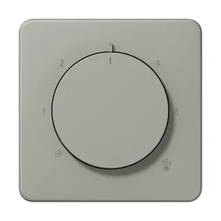 Jung Abdeckung für Raumtemperaturregler-Einsätze, Thermoplast lackiert, Serie CD, platin CD1749BFPT