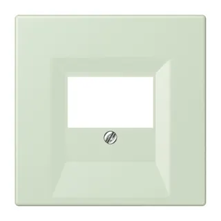 Jung Abdeckung für TAE-Anschlussdosen, Thermoplast lackiert, Serie LS, vert anglâis pale LC969T218