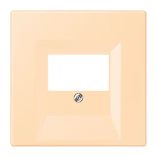 Jung Abdeckung für TAE-Anschlussdosen, Thermoplast lackiert, Serie LS, ocre LC969T223