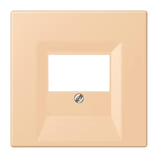 Jung Abdeckung für TAE-Anschlussdosen, Thermoplast lackiert, Serie LS, terre sienne claire 31 LC969T237