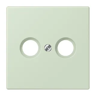 Jung Abdeckung für Antennendosen, Thermoplast lackiert, Serie LS, vert anglâis pale LC990TV218