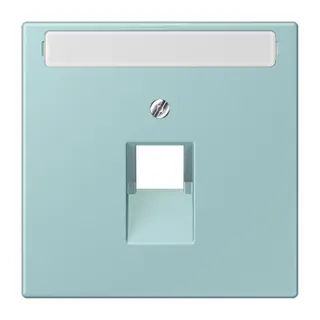 Jung Abdeckung für IAE/UAE-Anschlussdosen 1 x 8-polig, mit Schriftfeld, Thermoplast lackiert, Serie LS, céruléen clair LC969-1NAUA214