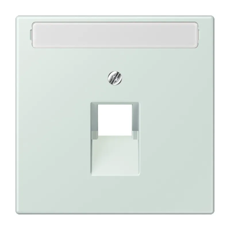 Jung Abdeckung für IAE/UAE-Anschlussdosen 1 x 8-polig, mit Schriftfeld, Thermoplast lackiert, Serie LS, céruléen pale LC969-1NAUA215