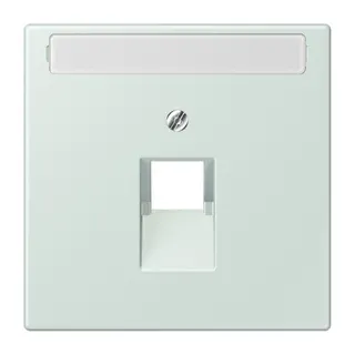 Jung Abdeckung für IAE/UAE-Anschlussdosen 1 x 8-polig, mit Schriftfeld, Thermoplast lackiert, Serie LS, céruléen pale LC969-1NAUA215