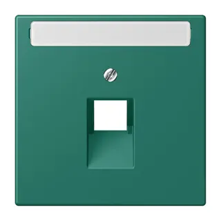 Jung Abdeckung für IAE/UAE-Anschlussdosen 1 x 8-polig, mit Schriftfeld, Thermoplast lackiert, Serie LS, vert anglais LC969-1NAUA216