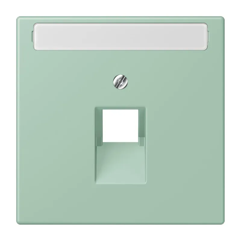 Jung Abdeckung für IAE/UAE-Anschlussdosen 1 x 8-polig, mit Schriftfeld, Thermoplast lackiert, Serie LS, vert anglais clair LC969-1NAUA217