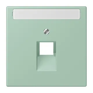 Jung Abdeckung für IAE/UAE-Anschlussdosen 1 x 8-polig, mit Schriftfeld, Thermoplast lackiert, Serie LS, vert anglais clair LC969-1NAUA217