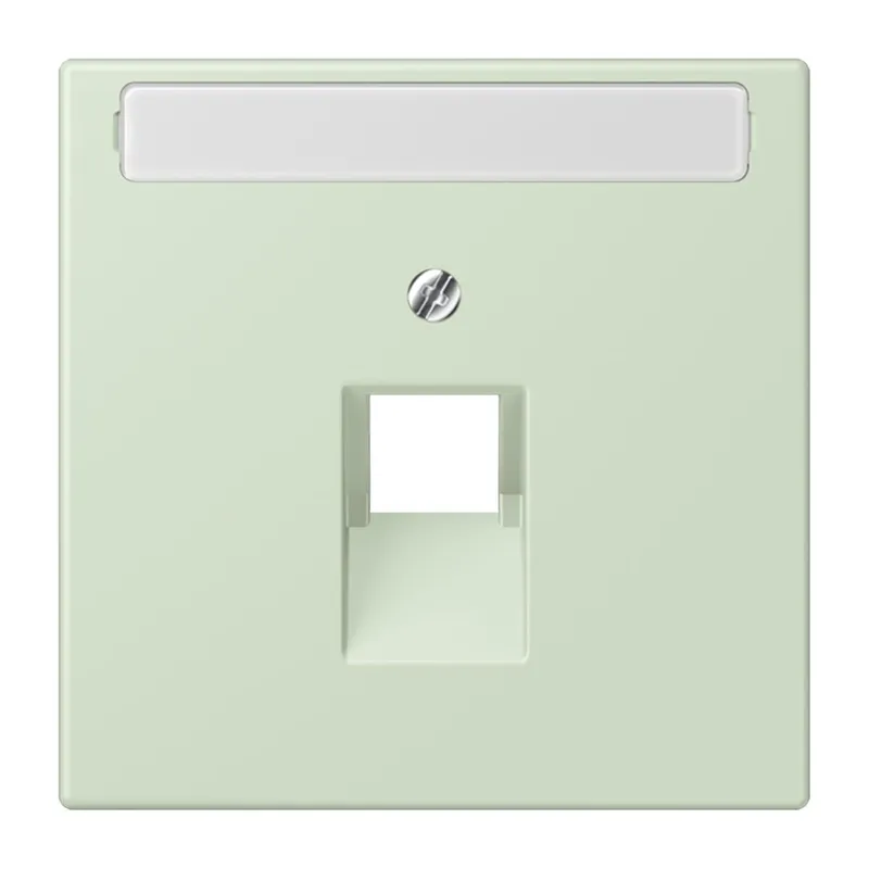 Jung Abdeckung für IAE/UAE-Anschlussdosen 1 x 8-polig, mit Schriftfeld, Thermoplast lackiert, Serie LS, vert anglâis pale LC969-1NAUA218