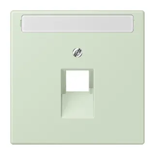 Jung Abdeckung für IAE/UAE-Anschlussdosen 1 x 8-polig, mit Schriftfeld, Thermoplast lackiert, Serie LS, vert anglâis pale LC969-1NAUA218