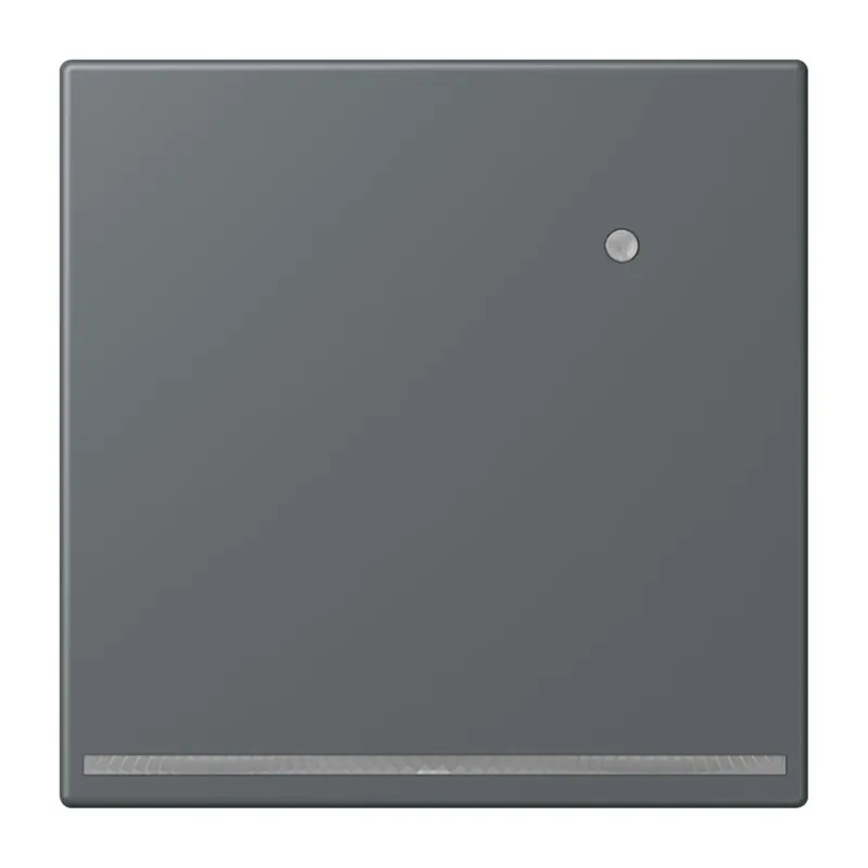 Jung LED-Orientierungslicht mit Helligkeitssensor, Serie LS, gris foncé 31 LC1539-OLNW202