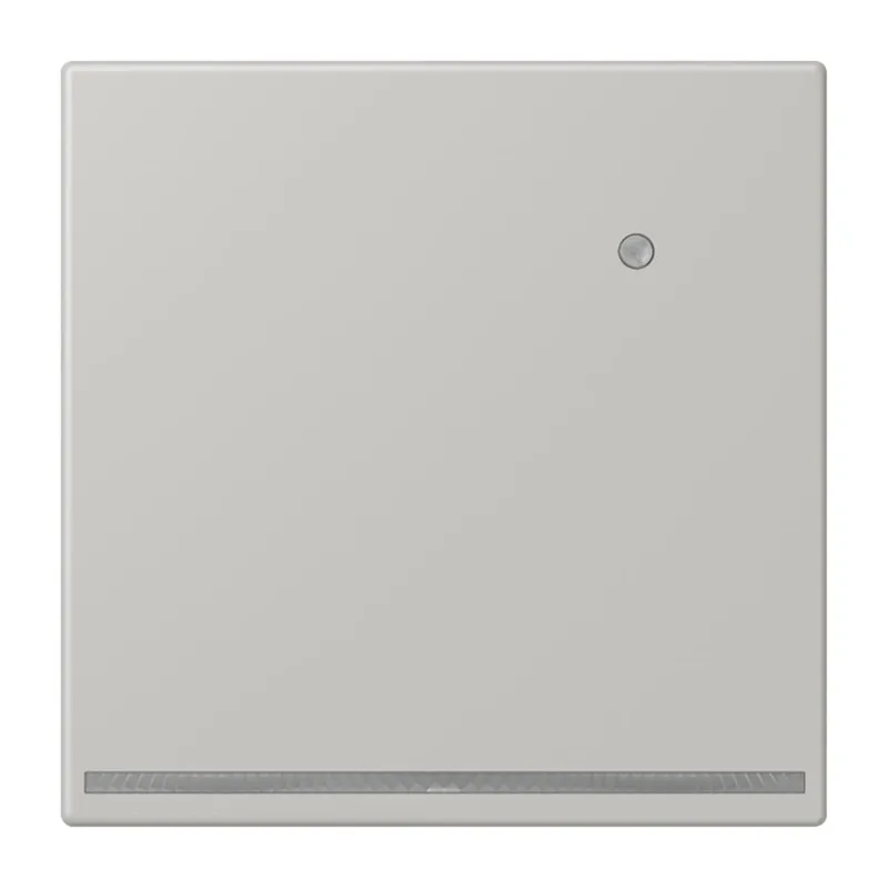 Jung LED-Orientierungslicht mit Helligkeitssensor, Serie LS, gris clair 31 LC1539-OLNW205