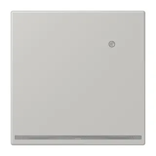 Jung LED-Orientierungslicht mit Helligkeitssensor, Serie LS, gris clair 31 LC1539-OLNW205