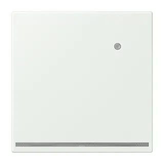 Jung LED-Orientierungslicht mit Helligkeitssensor, Serie LS, outremer gris LC1539-OLNW210