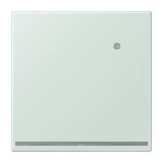 Jung LED-Orientierungslicht mit Helligkeitssensor, Serie LS, céruléen pale LC1539-OLNW215