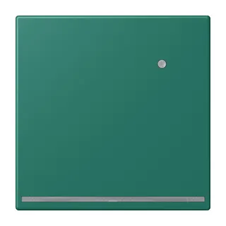 Jung LED-Orientierungslicht mit Helligkeitssensor, Serie LS, vert anglais LC1539-OLNW216