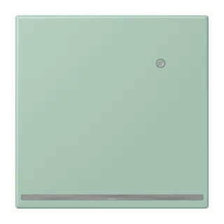 Jung LED-Orientierungslicht mit Helligkeitssensor, Serie LS, vert anglais clair LC1539-OLNW217