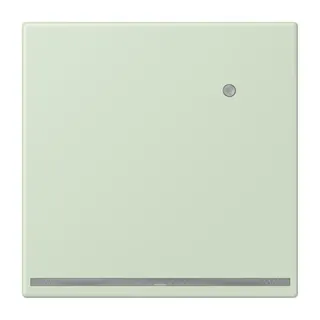 Jung LED-Orientierungslicht mit Helligkeitssensor, Serie LS, vert anglâis pale LC1539-OLNW218