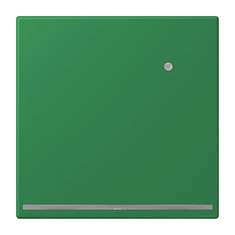 Jung LED-Orientierungslicht mit Helligkeitssensor, Serie LS, vert foncé LC1539-OLNW219
