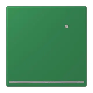 Jung LED-Orientierungslicht mit Helligkeitssensor, Serie LS, vert foncé LC1539-OLNW219