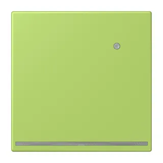 Jung LED-Orientierungslicht mit Helligkeitssensor, Serie LS, vert clair LC1539-OLNW221