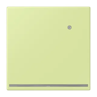 Jung LED-Orientierungslicht mit Helligkeitssensor, Serie LS, vert jaune clair LC1539-OLNW222