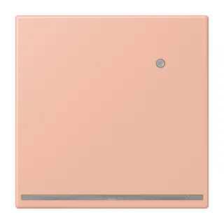 Jung LED-Orientierungslicht mit Helligkeitssensor, Serie LS, rose clair LC1539-OLNW231
