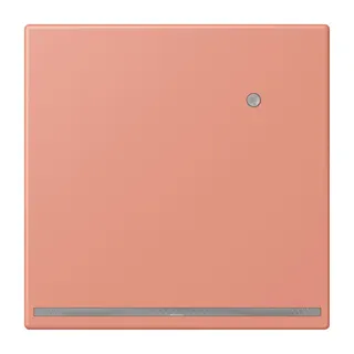 Jung LED-Orientierungslicht mit Helligkeitssensor, Serie LS, l'ocre rouge moyen LC1539-OLNW233