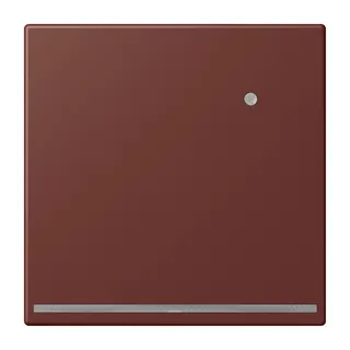 Jung LED-Orientierungslicht mit Helligkeitssensor, Serie LS, terre sienne br?lée 31 LC1539-OLNW235