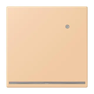 Jung LED-Orientierungslicht mit Helligkeitssensor, Serie LS, terre sienne claire 31 LC1539-OLNW237