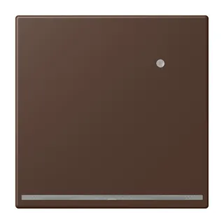 Jung LED-Orientierungslicht mit Helligkeitssensor, Serie LS, terre d'ombre br?lée 31 LC1539-OLNW239