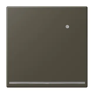 Jung LED-Orientierungslicht mit Helligkeitssensor, Serie LS, ombre naturelle 31 LC1539-OLNW241