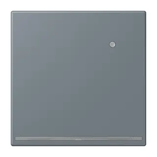 Jung LED-Orientierungslicht mit Helligkeitssensor, Serie LS, gris 59 LC1539-OLNW251