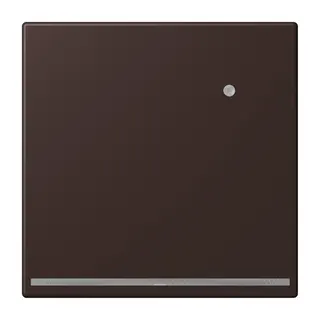 Jung LED-Orientierungslicht mit Helligkeitssensor, Serie LS, terre d?ombre br?lée 59 LC1539-OLNW252