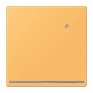 Jung LED-Orientierungslicht mit Helligkeitssensor, Serie LS, ocre jaune clair LC1539-OLNW254