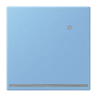 Jung LED-Orientierungslicht mit Helligkeitssensor, Serie LS, bleu céruléen 59 LC1539-OLNW256